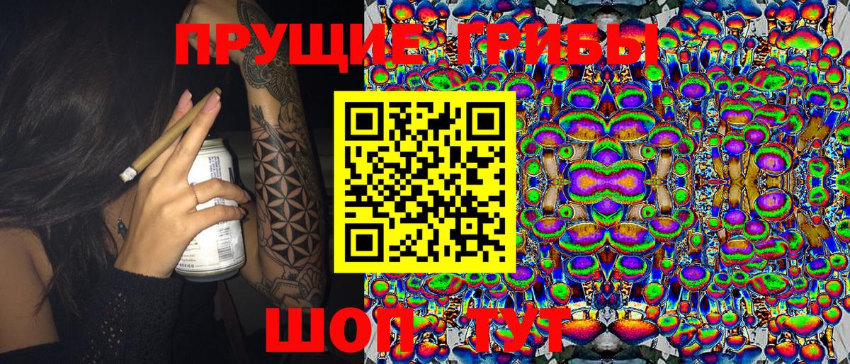 Псилоцибиновые грибы мицелий  Псилоцибиновые грибы Magic Shrooms  купить   Вход с VPN  Сунжа 