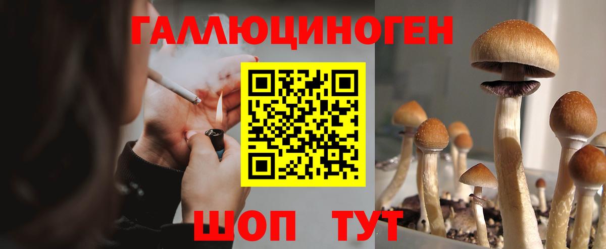 Галлюциногенные грибы ЛСД Сунжа